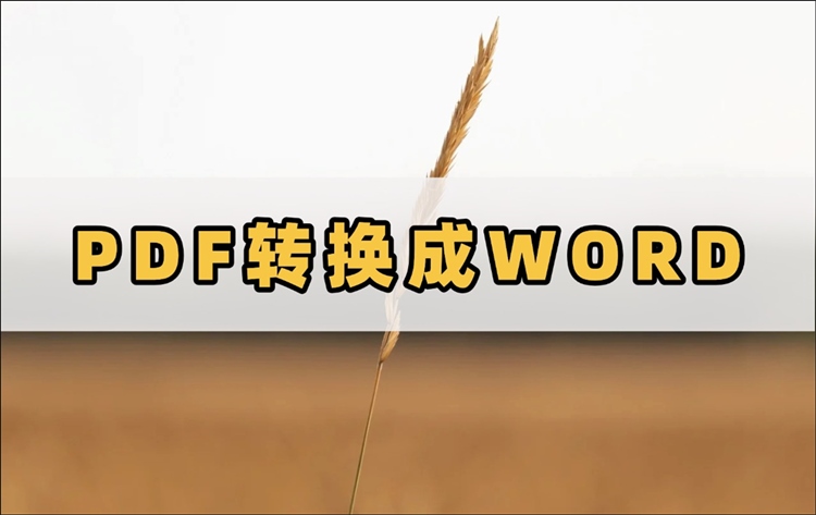 PDF转换成Word