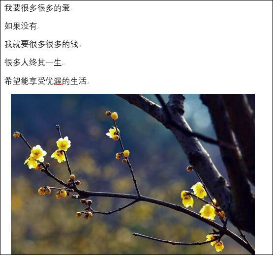 识别效果图