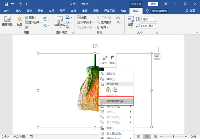 另存为图片