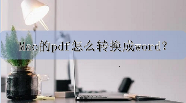 Mac的pdf怎么转换成word