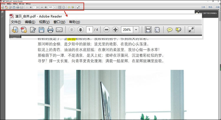 Adobe Reader XI