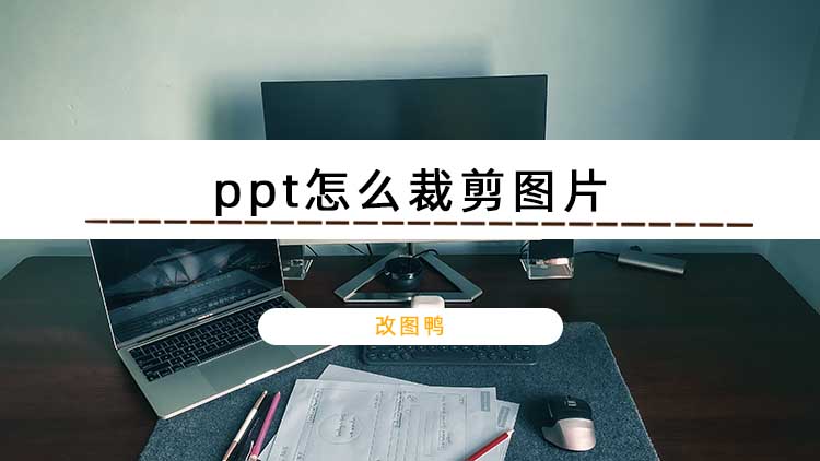 ppt怎么裁剪图片