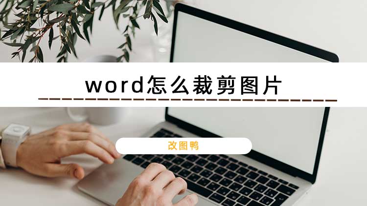 word怎么裁剪图片