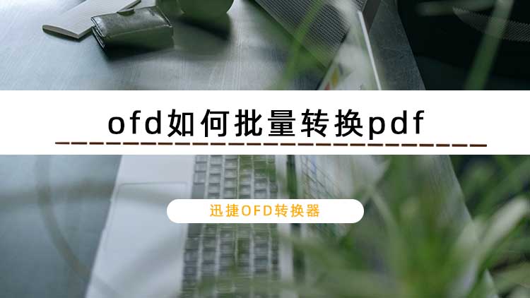 ofd如何批量转换pdf？ofd批量转换pdf工具介绍给你