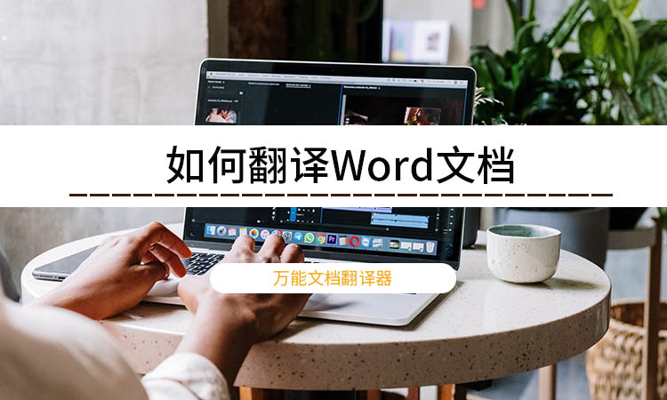 如何翻译Word文档