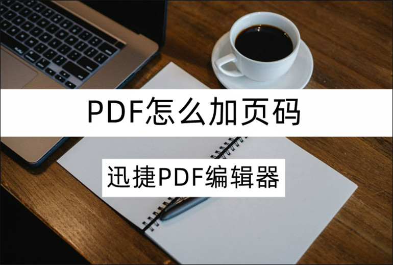 分享PDF加页码的操作教程