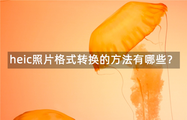 heic照片格式转换的方法有哪些？快来看看这3种吧
