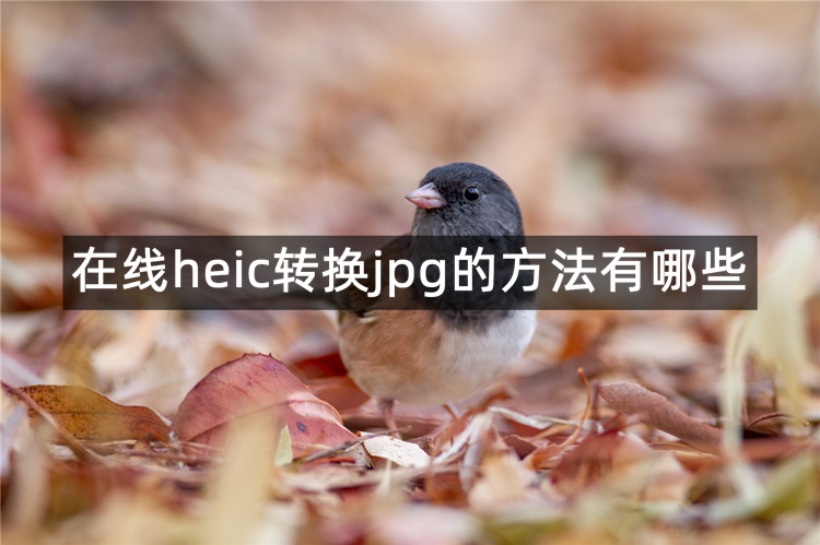 在线heic转换jpg的方法有哪些？看一下这3个吧
