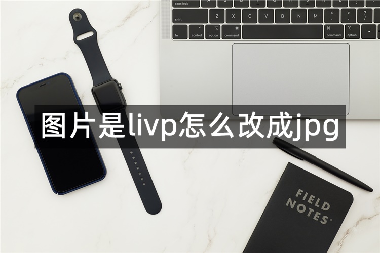 图片是livp怎么改成jpg？分享3种livp转jpg方法