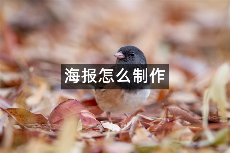 海报怎么制作？这三个海报设计软件分享给大家