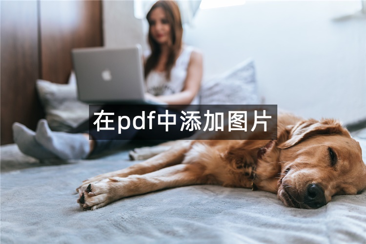 首图