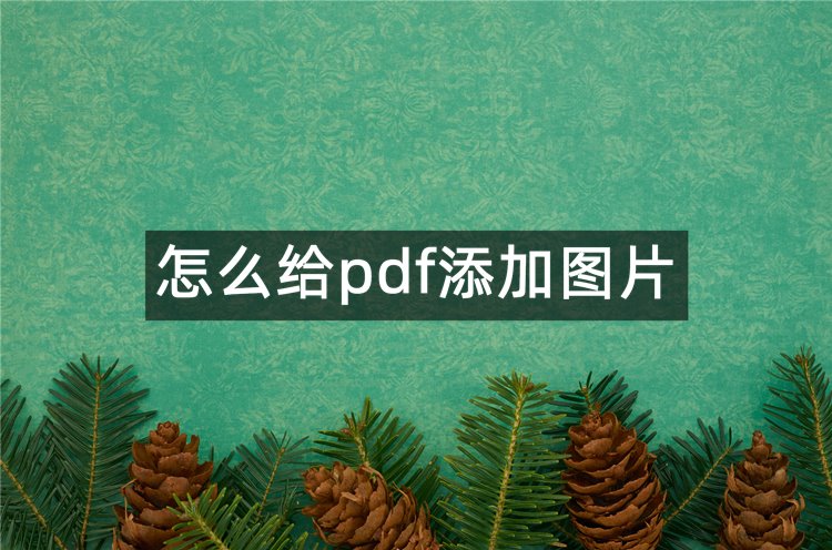 首图