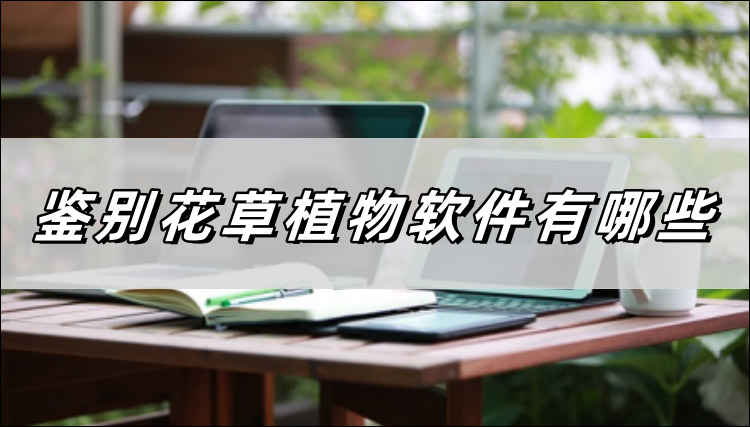 鉴别花草植物软件有哪些首图
