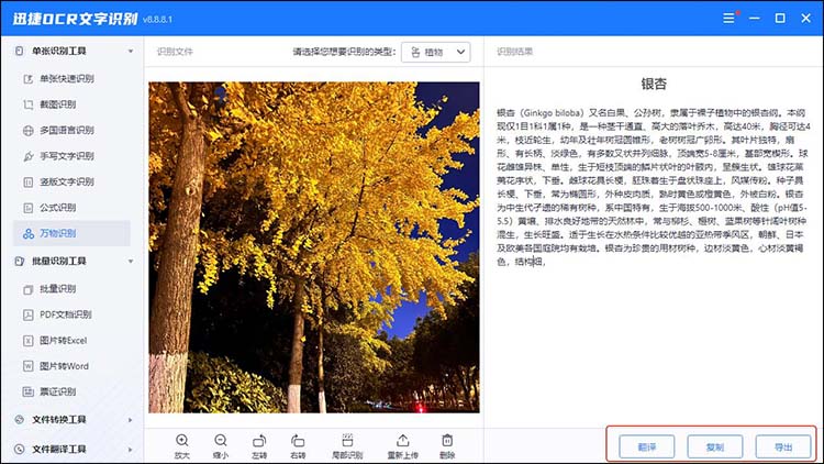 迅捷ocr文字识别软件操作步骤3