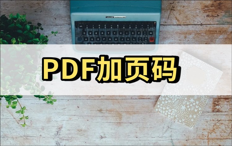 PDF如何加页码